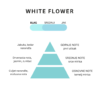WHITE FLOWER - Slika 2