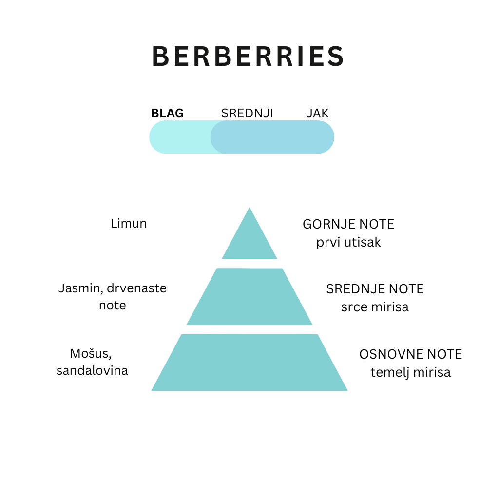 BERBERRIES - Slika 2