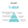 MIRISNE SOJA SVIJEĆE LUKSUZNA LINIJA SECRET - Slika 2