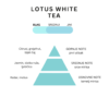 ULTRA SCENT PREMIUM LOTUS WHITE TEA 500ML - Slika 2