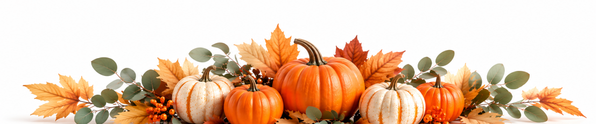 Minimalist Autumn Pumpkin Centerpiece